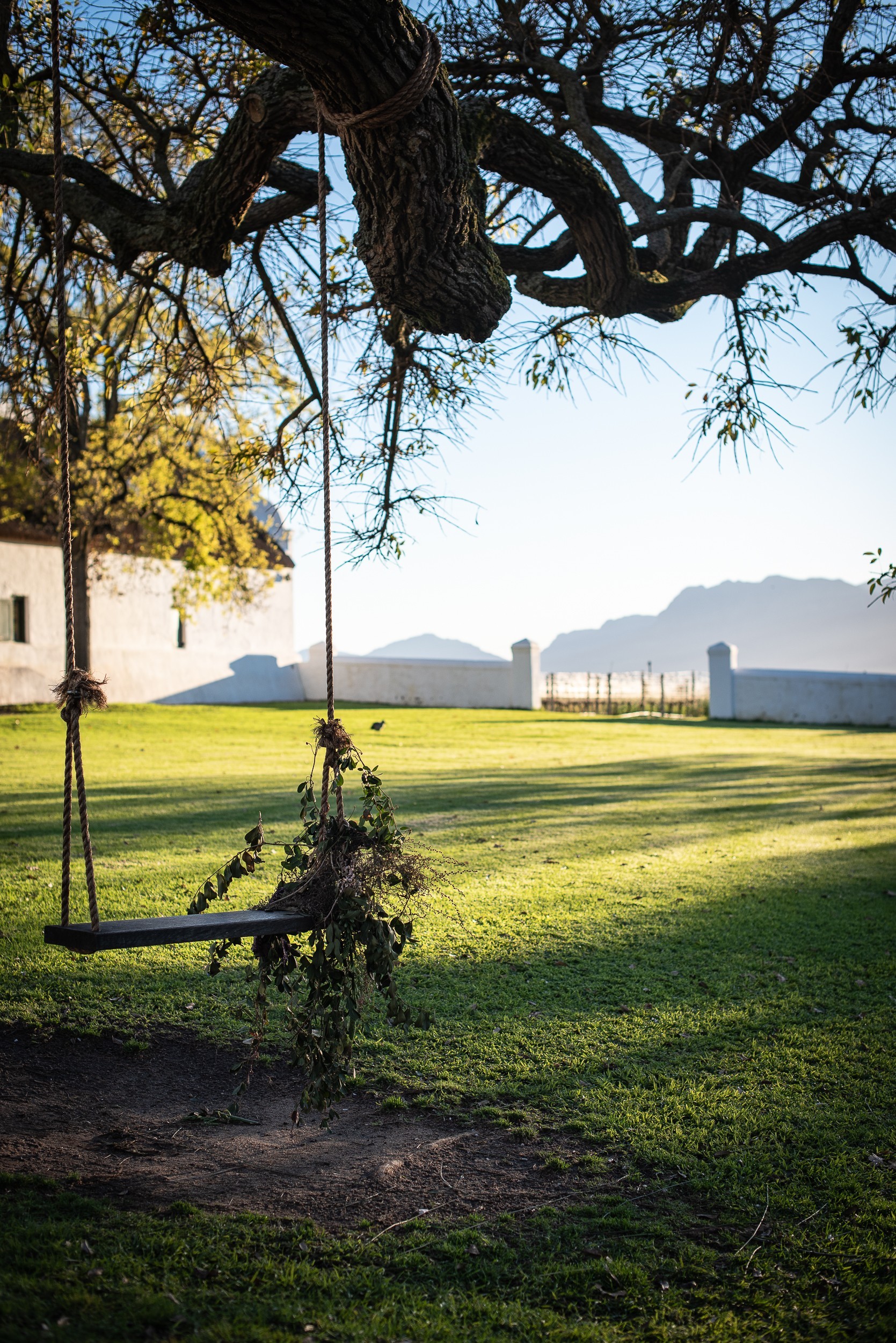 Adventures in Food - A weekend at Babylonstoren