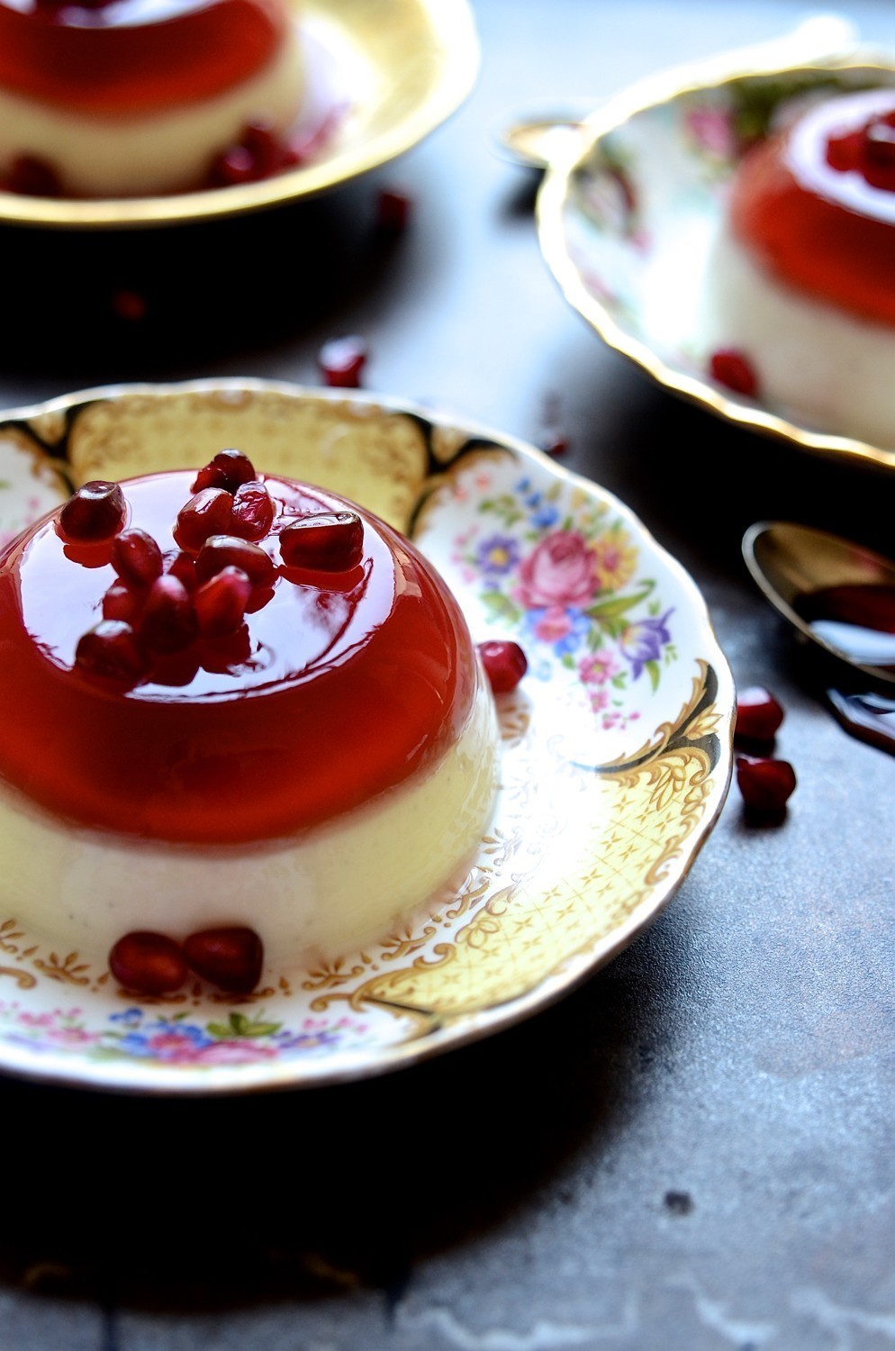 Pomegranate jelly and yoghurt pannacotta