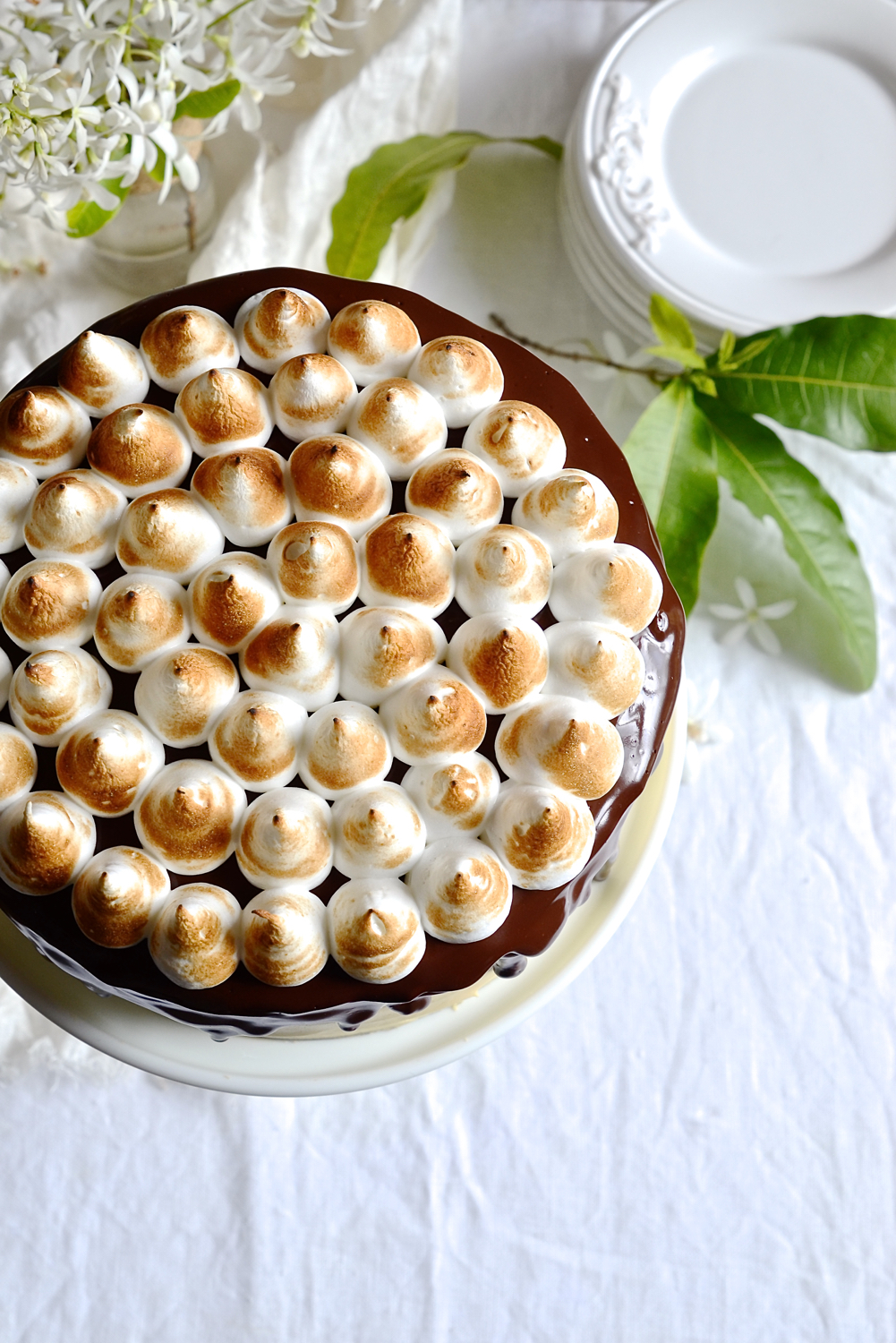 S'mores chocolate cake